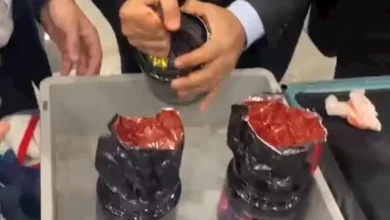 2025 12 28 22 32 13 392.webp