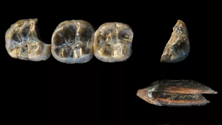 2025 12 29 13 34 35 707.webp