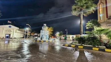 2025 12 29 3 22 56 149.webp