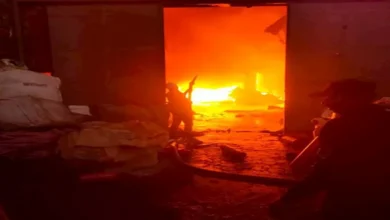 2025 12 2 14 16 2 392.webp