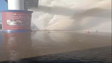 2025 12 30 12 0 38 562.webp