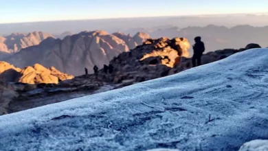 2025 12 31 10 34 55 304.webp