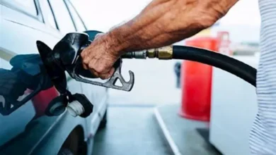 2025 12 31 11 51 14 766.webp