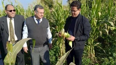 2025 12 31 12 37 33 946.webp