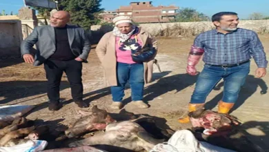 2025 12 31 12 49 28 719.webp