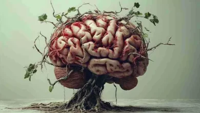 2025 12 31 12 53 15 386.webp