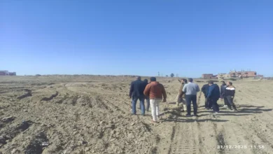 2025 12 31 15 29 2 955.webp