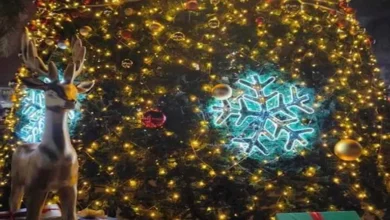 2025 12 31 21 24 16 379.webp