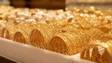 2025 12 3 16 42 58 201.webp