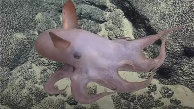 2025 12 6 14 8 35 845.webp