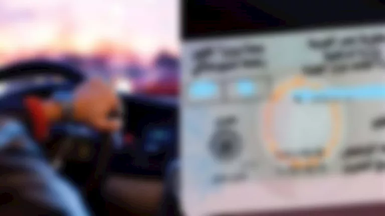 2025 12 8 19 4 10 870.webp