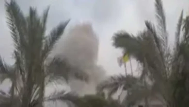 2025 12 9 0 10 10 499.webp