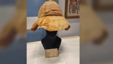 2025 12 9 11 26 1 909.webp