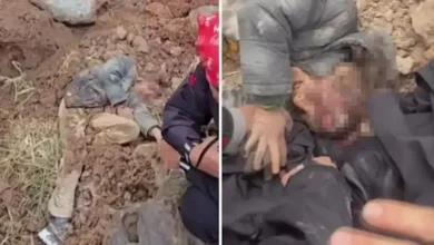 2025 12 9 11 49 13 475.webp