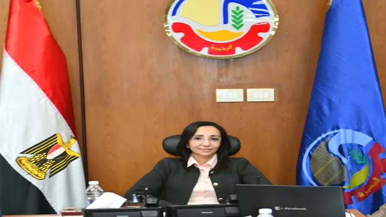 2025 12 9 14 26 26 671.webp