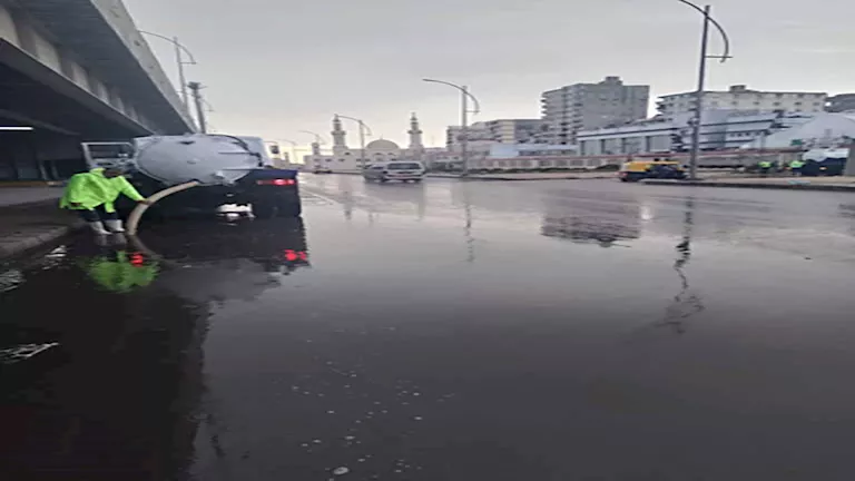 2025 12 9 17 46 21 755.webp