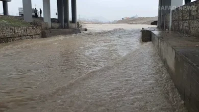 2025 12 9 21 20 40 95.webp