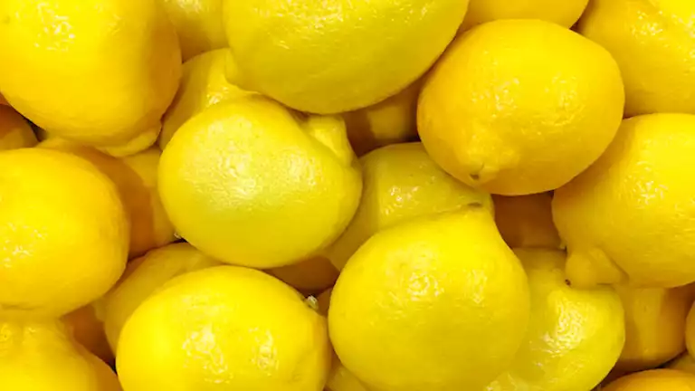 2025 1 13 12 55 12 455.webp