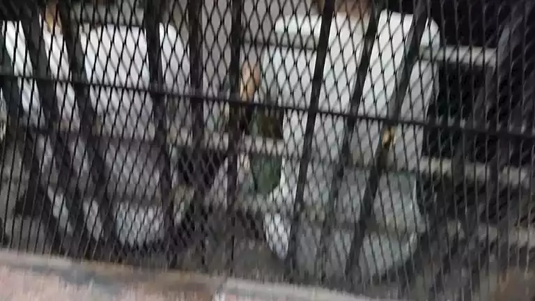 2025 1 17 22 59 23 640.webp