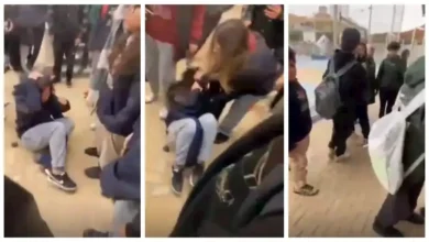 2025 1 19 0 6 14 799.webp