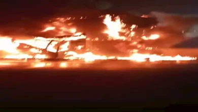 2025 1 21 21 52 31 152.webp