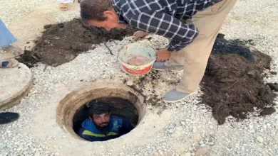 2025 1 3 13 19 31 767.webp