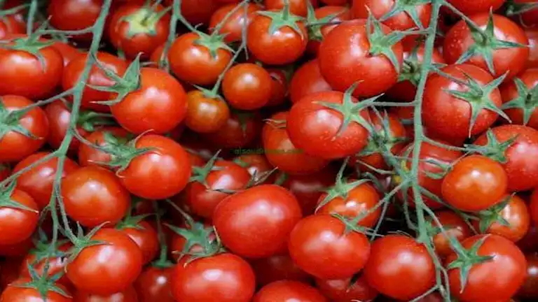 2025 2 21 16 17 53 137.webp