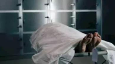 2025 2 5 14 7 17 824.webp