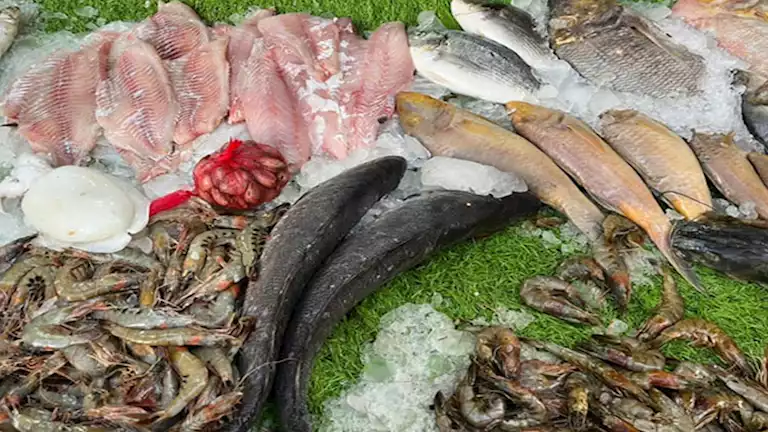 2025 2 8 11 20 2 275.webp