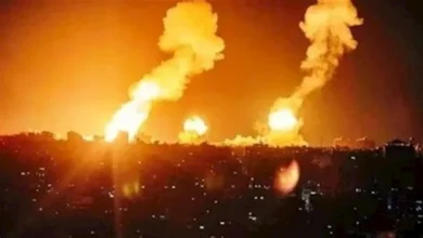 2025 3 28 0 6 50 905.webp