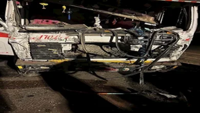 2025 3 3 10 28 47 883.webp