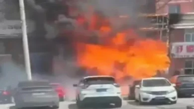 2025 4 29 13 6 28 207.webp