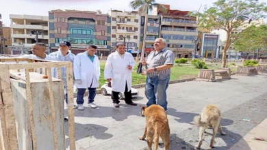 2025 5 1 14 24 53 384.webp