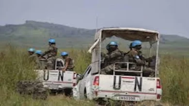 2025 5 1 21 10 22 940.webp