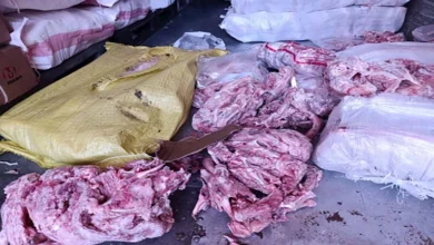 2025 5 8 11 20 23 695.webp