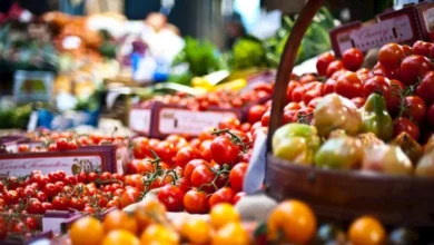 2025 6 18 11 11 34 943.webp