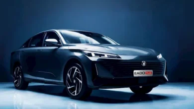 2025 6 19 15 2 18 86.webp