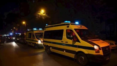 2025 6 6 0 49 41 861.webp