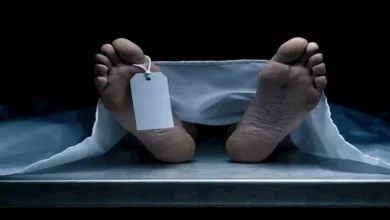 2025 6 6 13 44 5 340.webp