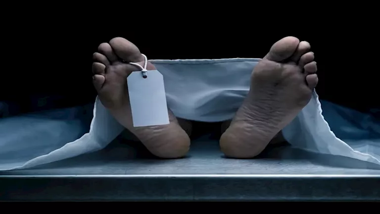 2025 6 6 13 44 5 340.webp