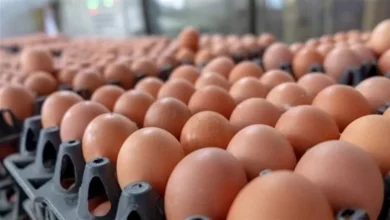 2025 6 9 13 38 11 238.webp