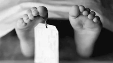 2025 7 20 12 9 14 822.webp