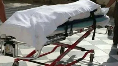 2025 8 12 17 7 7 974.webp