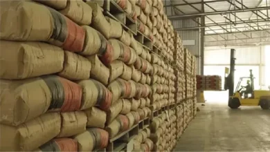 2025 8 20 14 29 3 692.webp