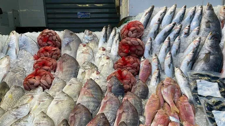 2025 8 22 11 29 6 935.webp