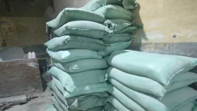 2025 8 24 22 5 13 0.webp