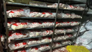 2025 8 9 16 19 44 368.webp