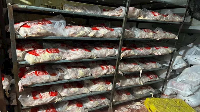 2025 8 9 16 19 44 368.webp