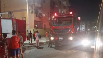 2025 9 11 0 14 38 232.webp