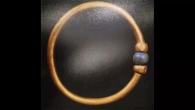 2025 9 20 23 15 6 221.webp